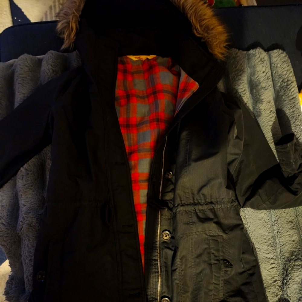 Hollister winter coat